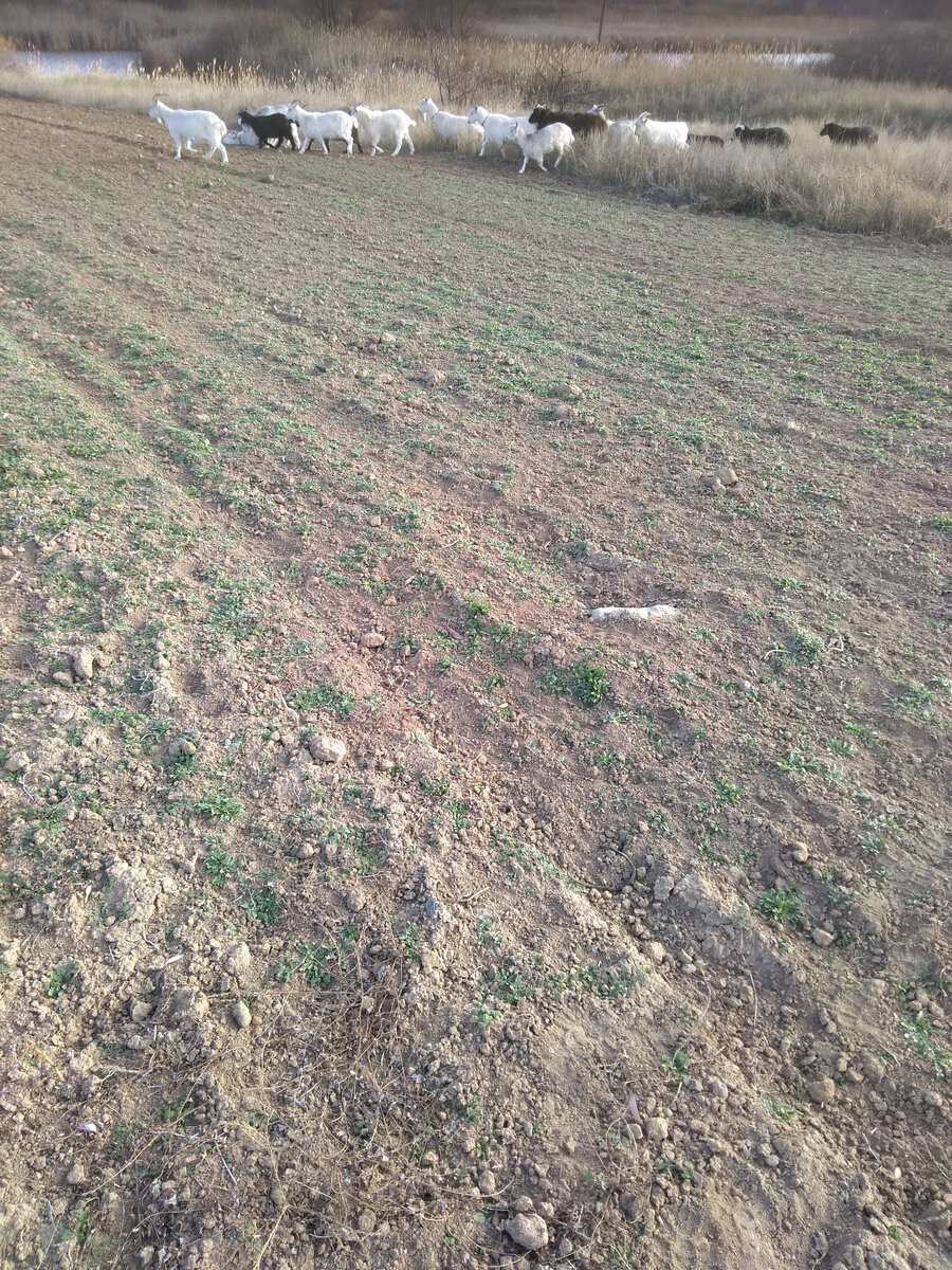 Зрители занимают места, пришли поддержать морально).