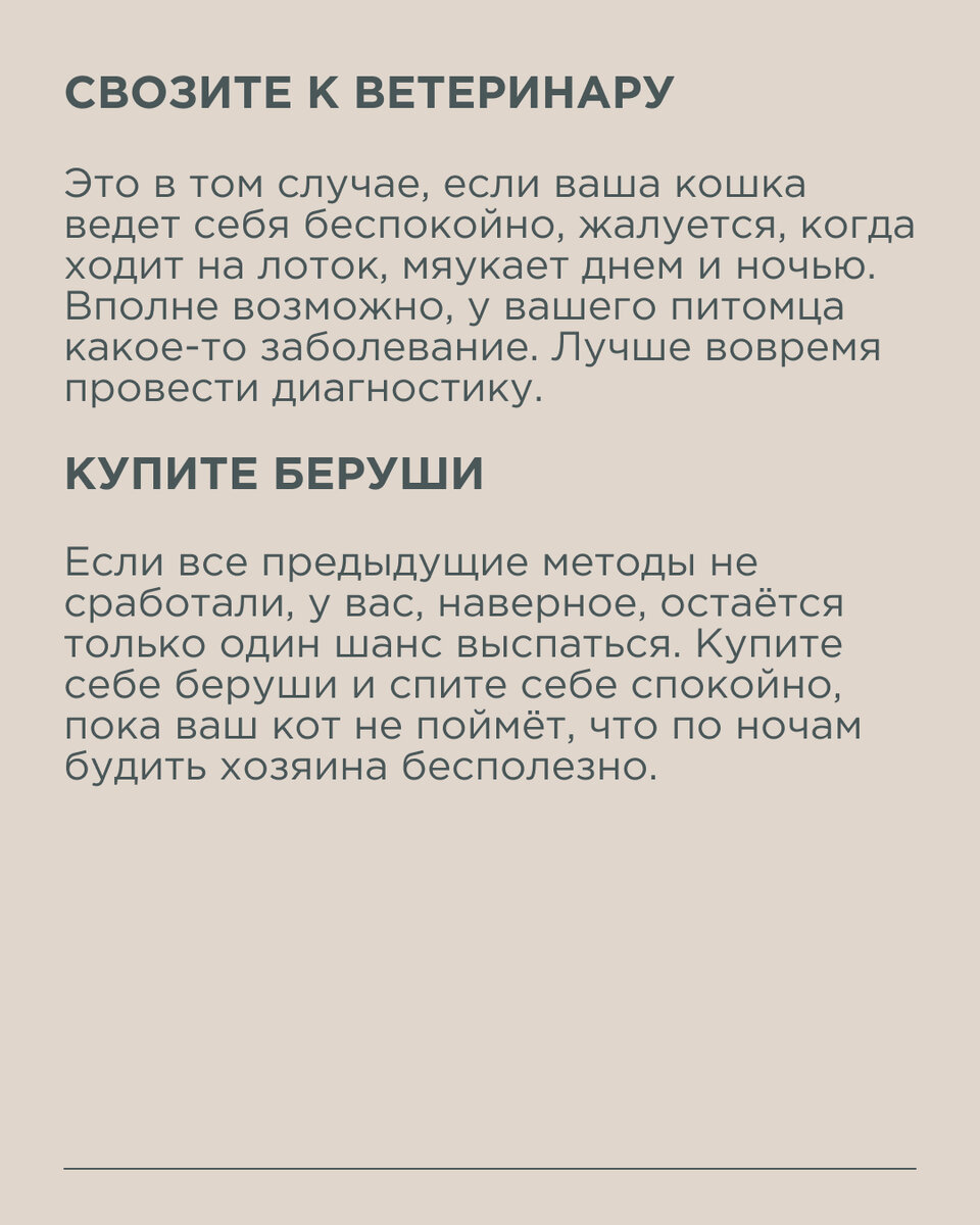 Ночь, комната, погром, котейка... Если у вас дома есть коты, думаем, вы не  раз просыпались от шума, прыжков и мяуканья | Новый очаг | Дзен