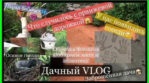 Бетонные дорожки на даче своими руками