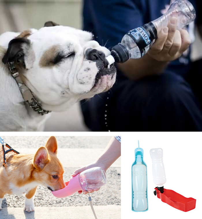 Берите воду с собой на прогулки