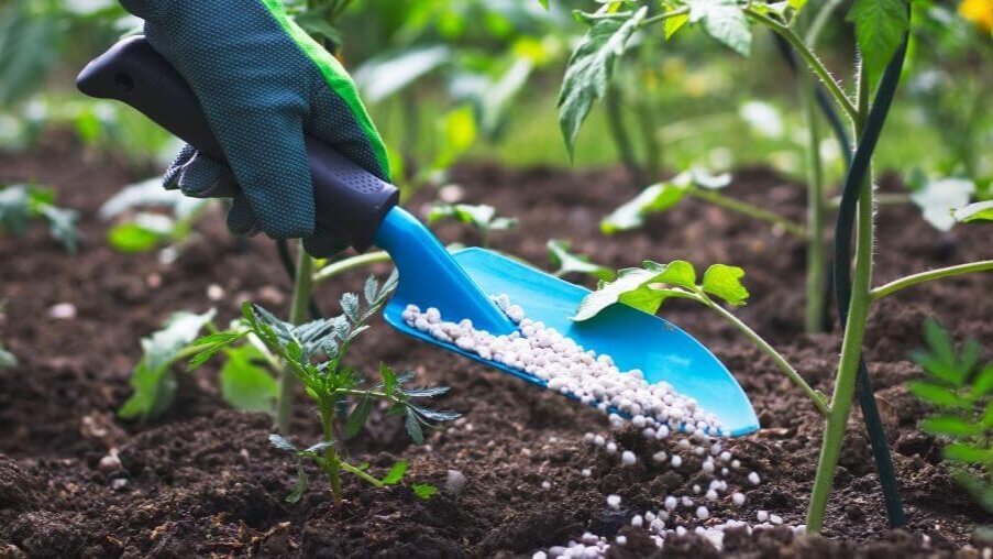 Когда вы добавляете в почву минералку, то плодородие ее падает