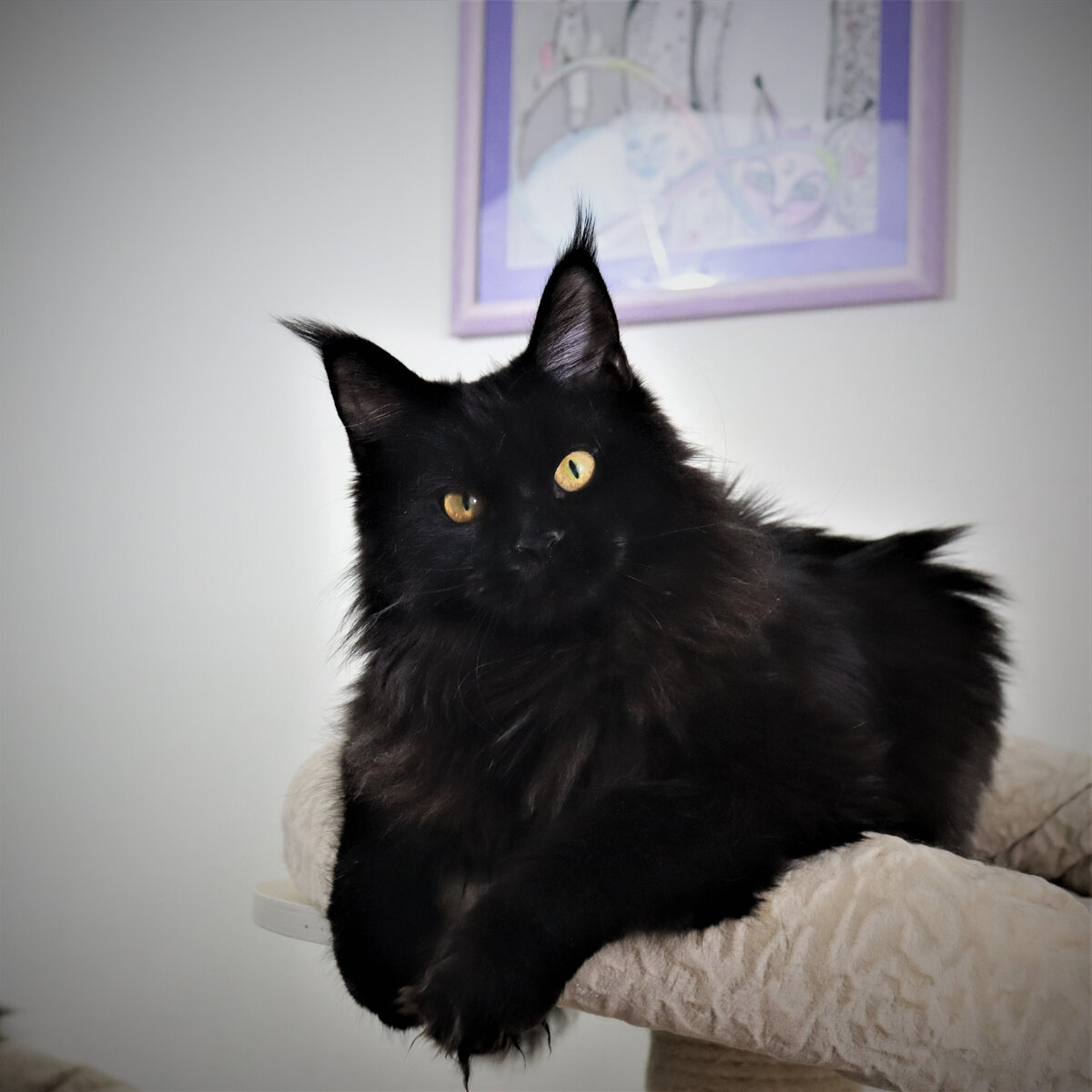 Фото из личного архива.