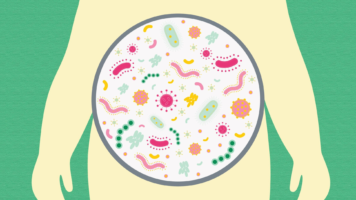 фото источник kodelife.ru