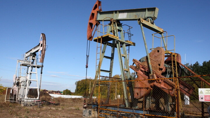 ZAMIR USMANOV/GLOBALLOOKPRESS