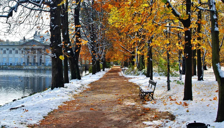 Поздняя осень в москве
