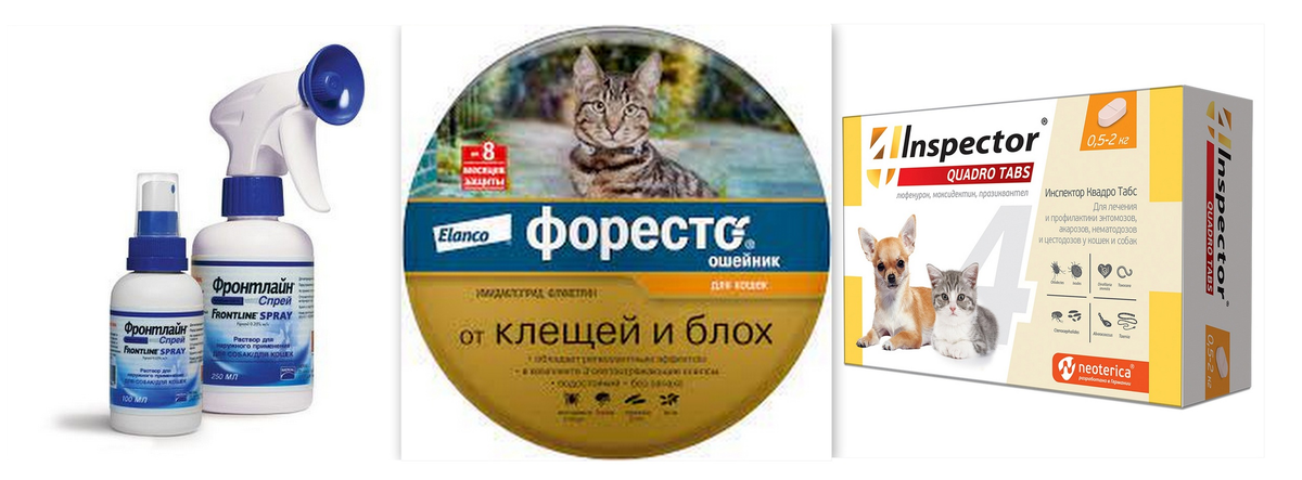 Квадро табс для собак от клещей отзывы. Квадро табс для собак от клещей отзывы