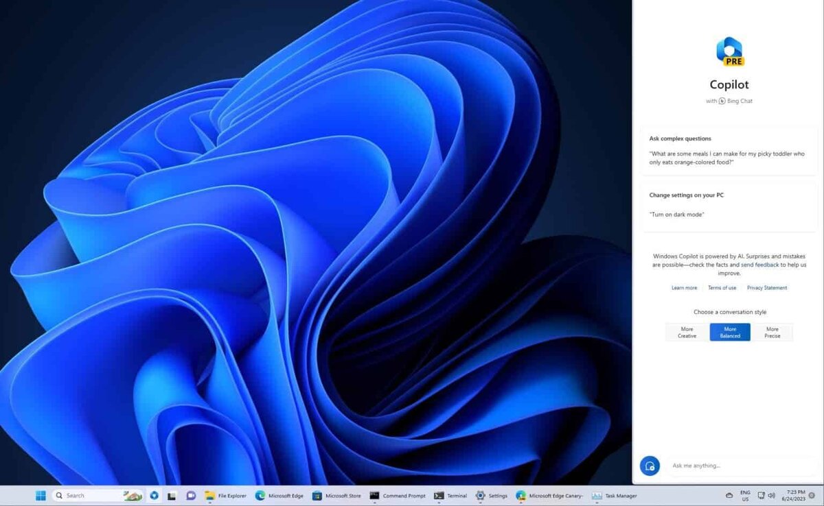 Microsoft windows 11 pro. 51. Виндовс 11 скриншоты. Скавиндовс 11. Windows 24h2 copilot.