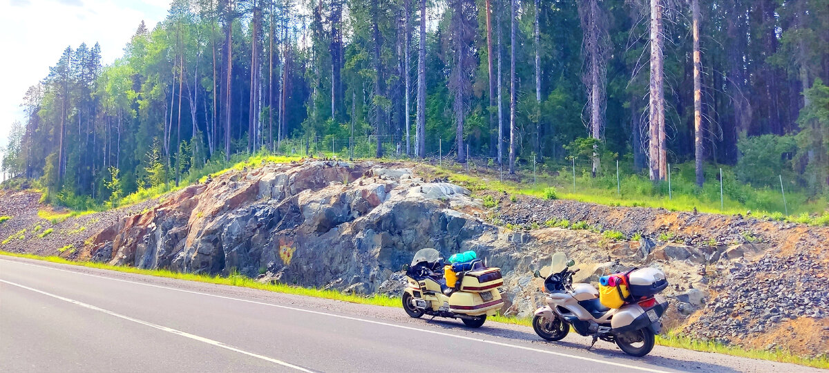 На камнях по всей Карелии разбросаны смешарики🥰еще нашли Нюшу и Пина)) 