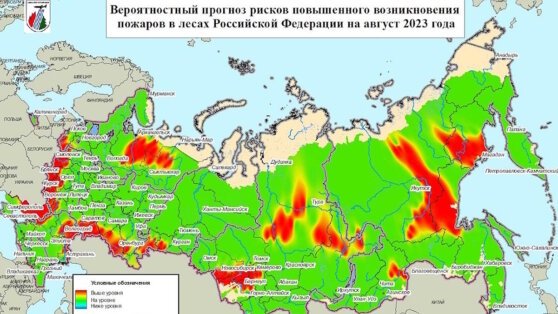    Россиян предупредили о риске лесных пожаров в 32 регионах Дмитрий Коптев