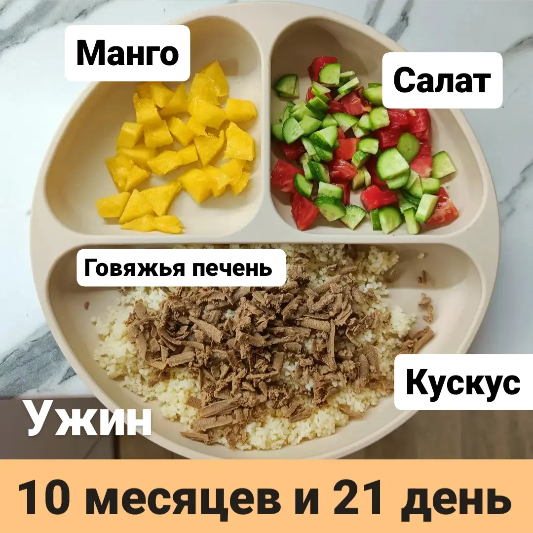 Пример тарелки в 10 месяцев 