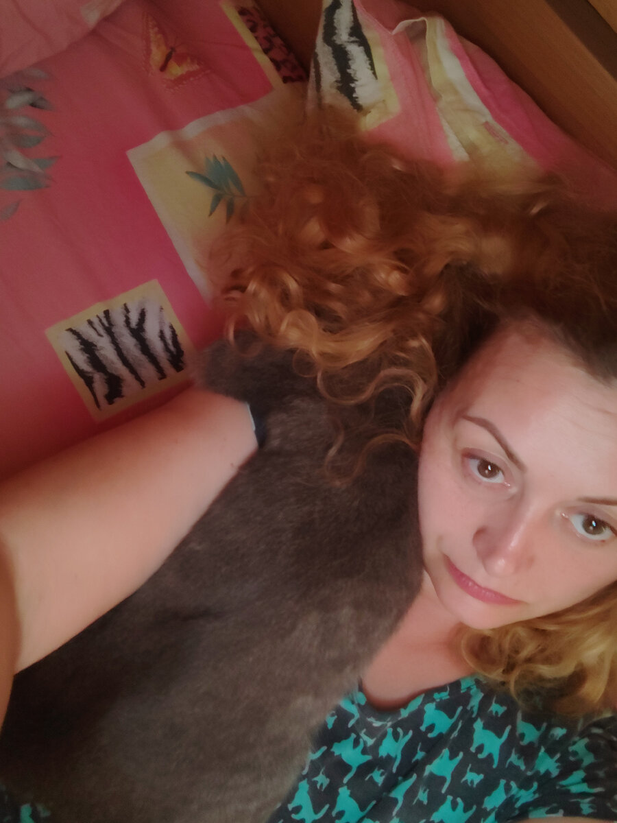 Кошка шлялась где то и вот пришла 