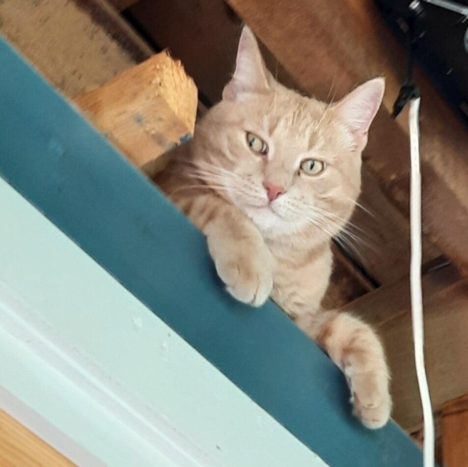 Потом полдня сидел на чердаке)) а что делать? Враг не проскочит)))