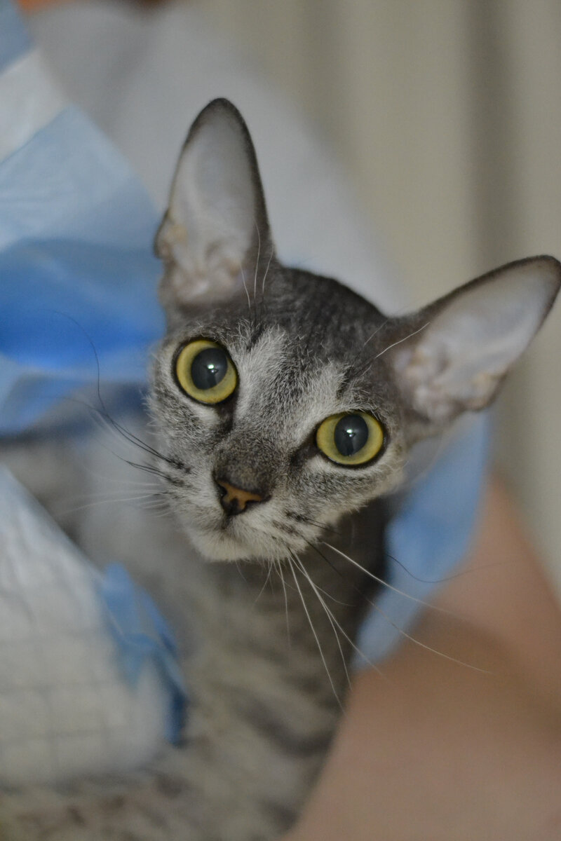 Наш замечательный пациент