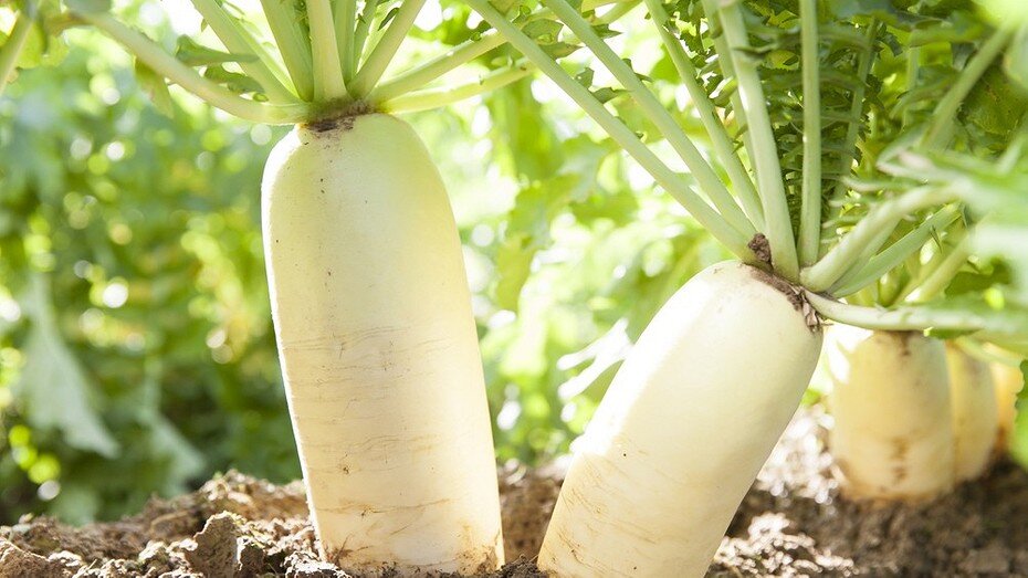 ShutterStock/Fotodom.ru 