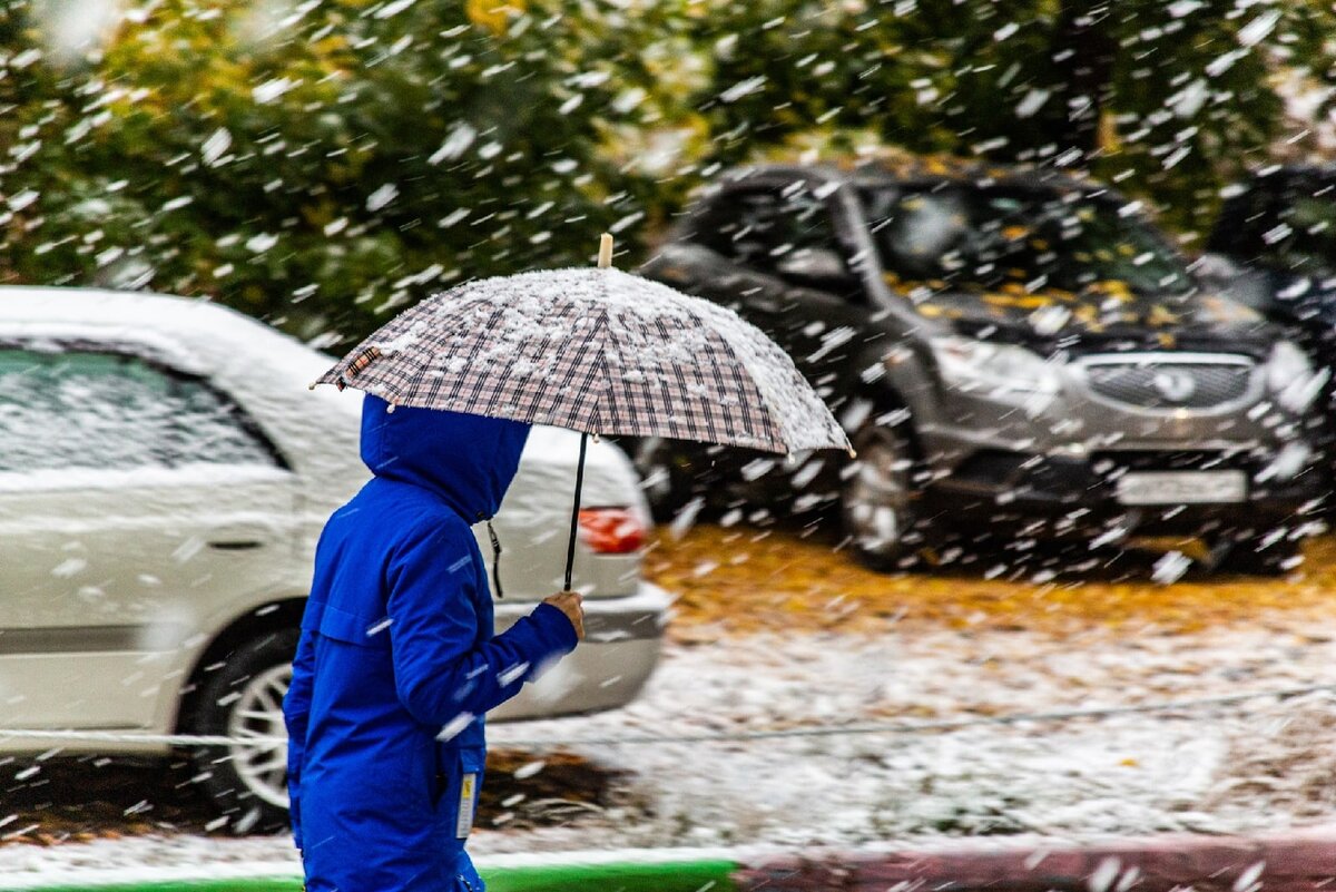 Фото Густаво Зырянова