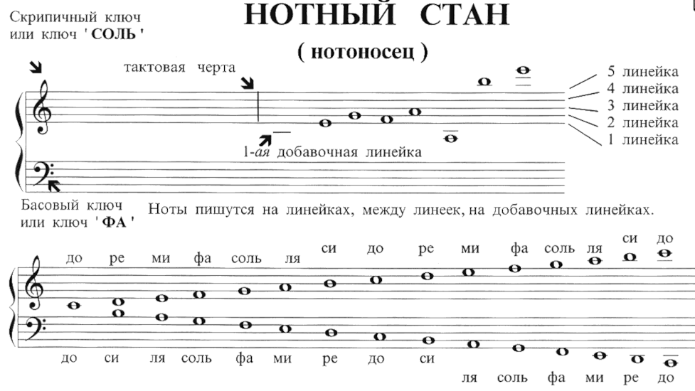 Музыкальный ключ - скрипичный и басовый, зачем он нужен