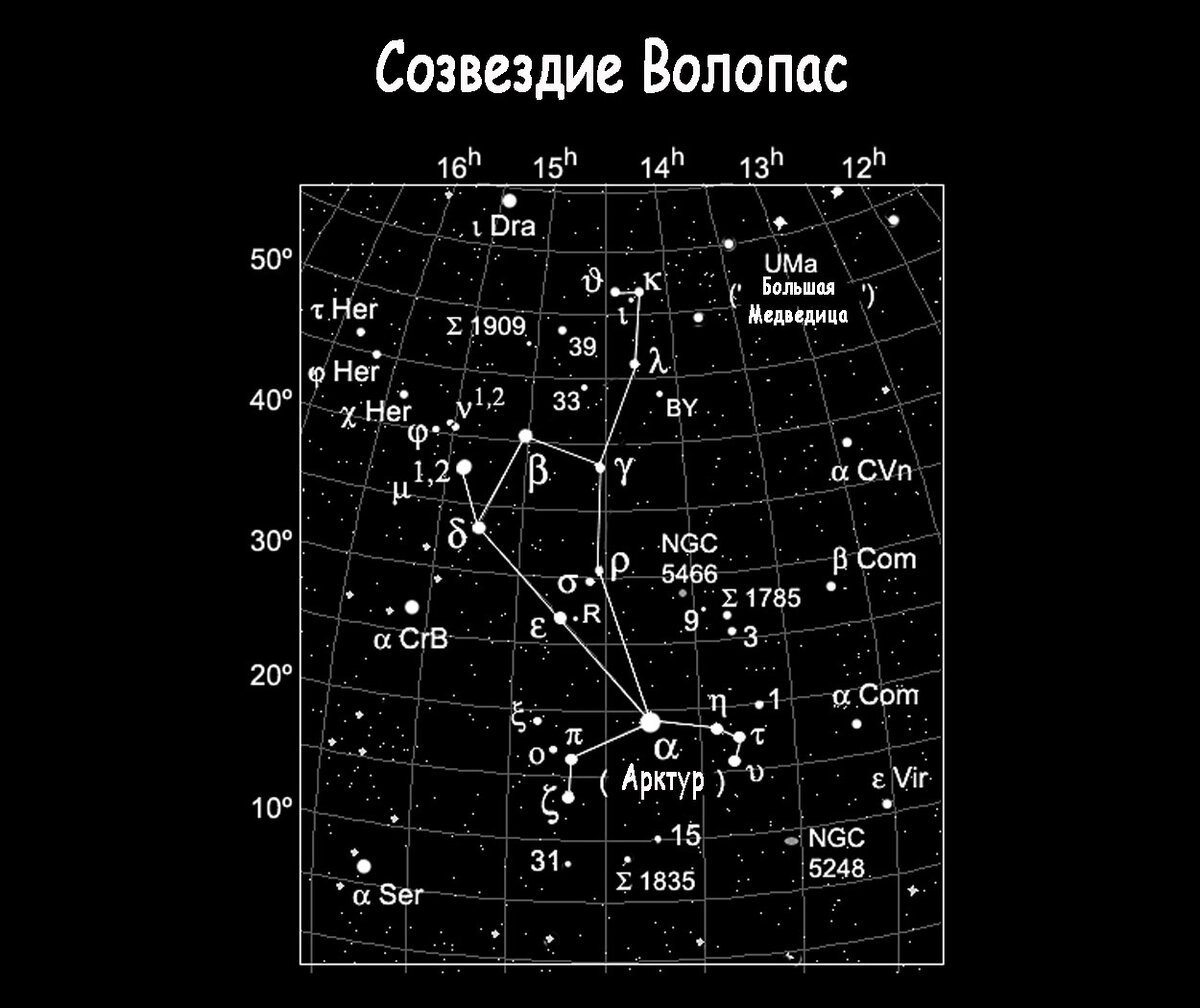 Волопас созвездие рисунок