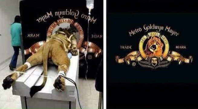 -2