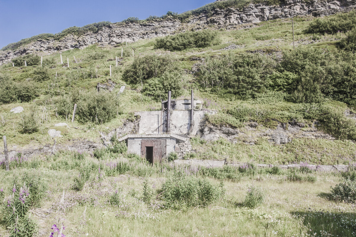 Дорога к ним давно подзаросла , и мы продираемся по ковру тундры