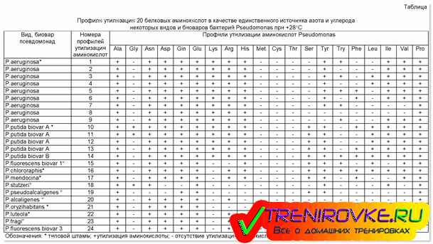 Таблица аминокислот и генетических кодов