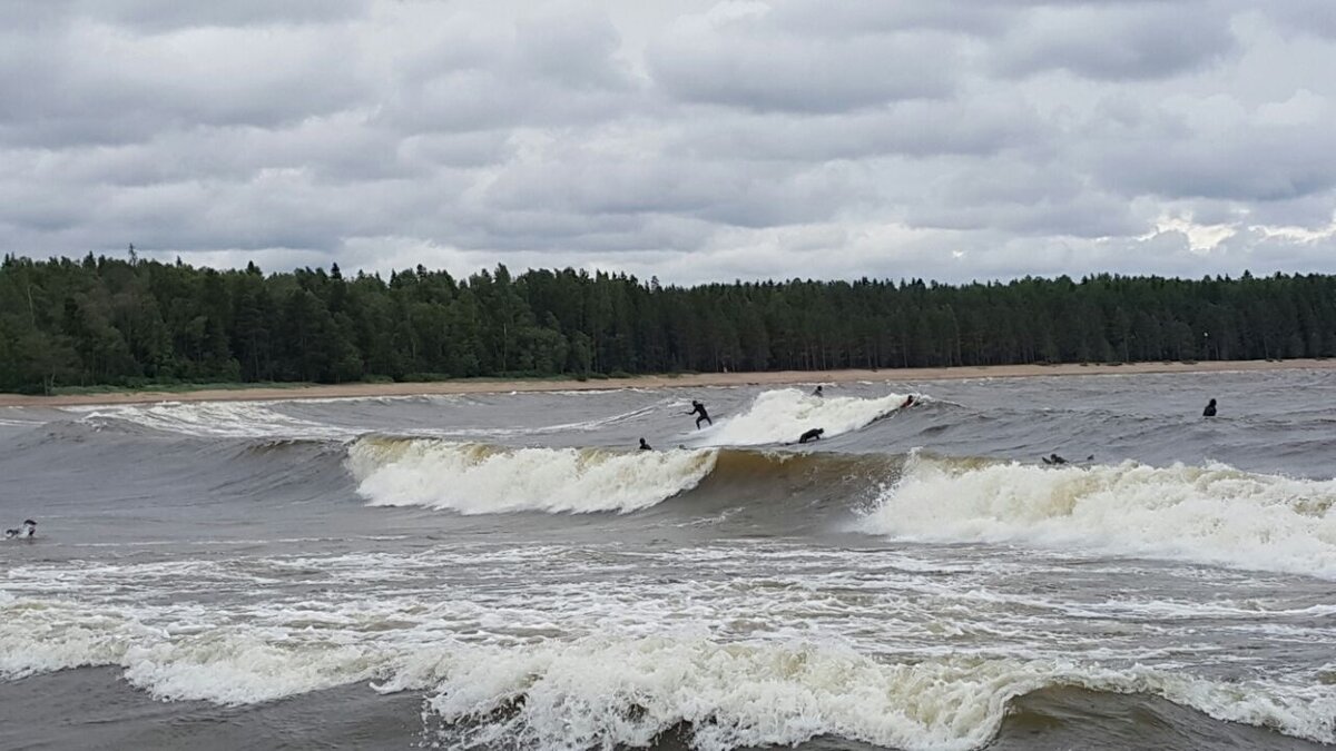 Фото 5 июня 2018 года 