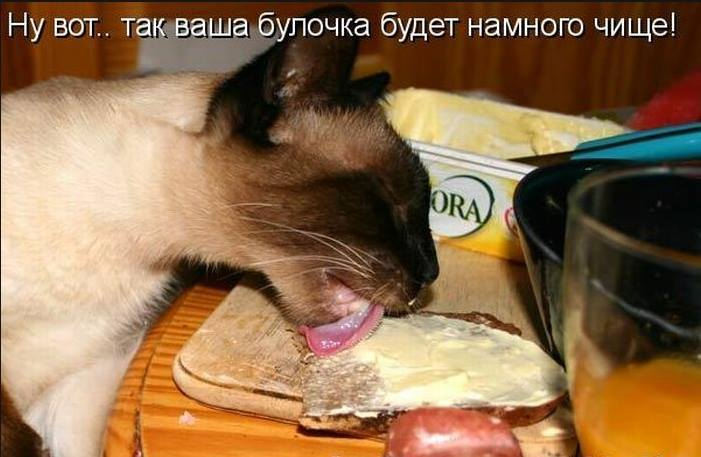 Кот воровал все рыбу мясо сметану и хлеб схема предложения