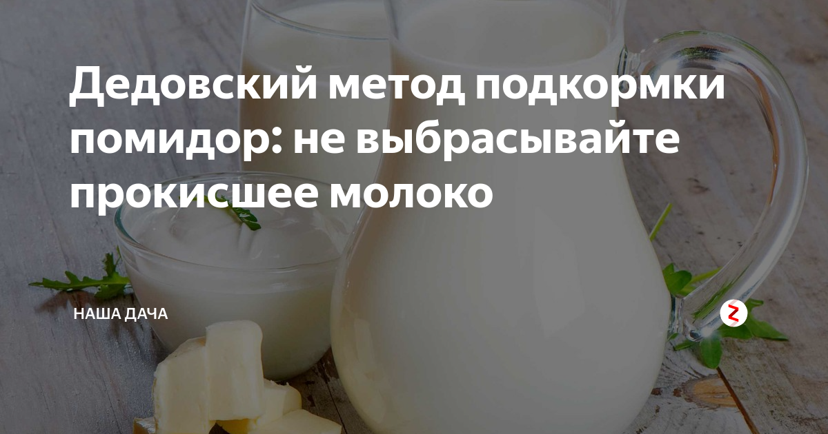 Огурцы йод молоко. Дедовский метод подкормки томатов. Дедовские способы подкормки для томатов. Подкормка молоком с йодом огурцов и помидор. Подкормка томатов молоком с йодом.