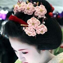 Сейчас заколка с цветками из ткани очень популярна. Маленькие квадраты шелка складываются в лепестки – такая техника называется tsumami. Шелковые лепестки соединяются и получается чудный цветочек канзаши.