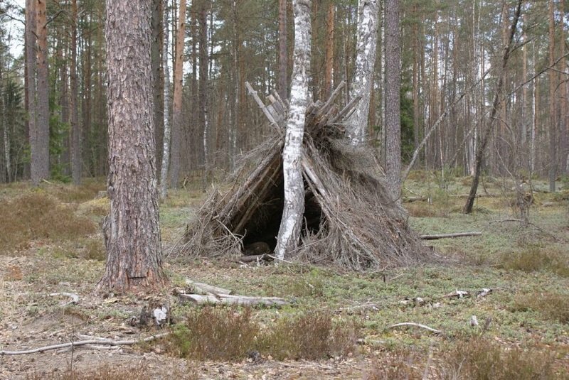 Фото: http://pohod-lifehack.ru