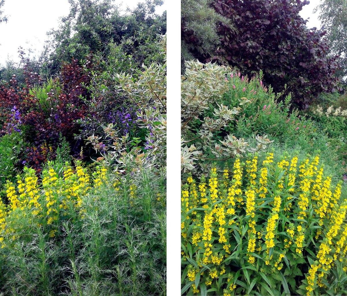 Сад Натургарден