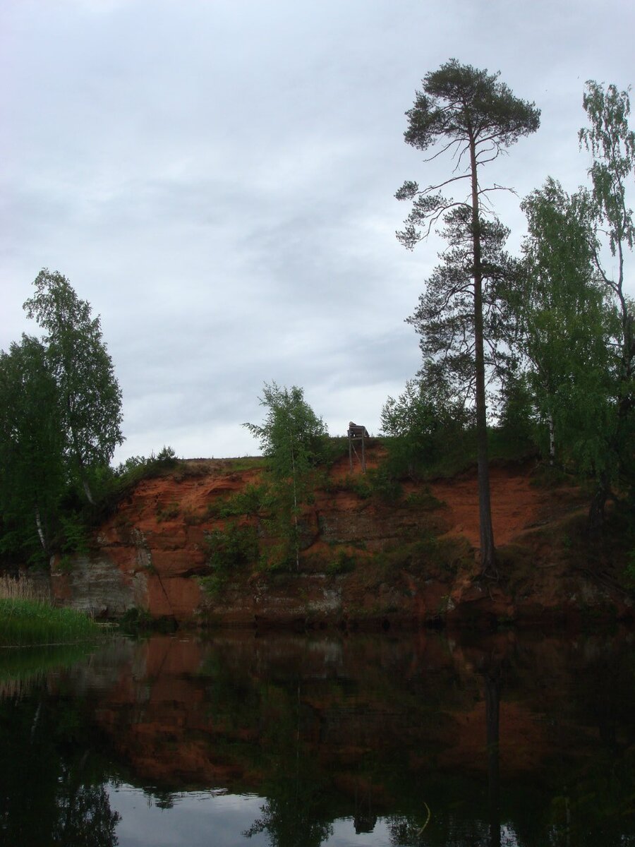 Поход в Историю. Заповедник Гениев. Глава 1 