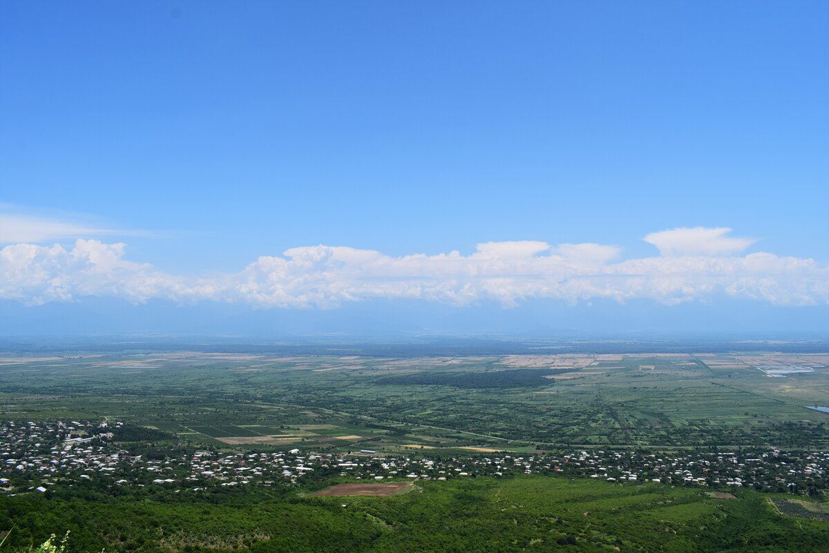 Алазанская Долина Грузия виноградники