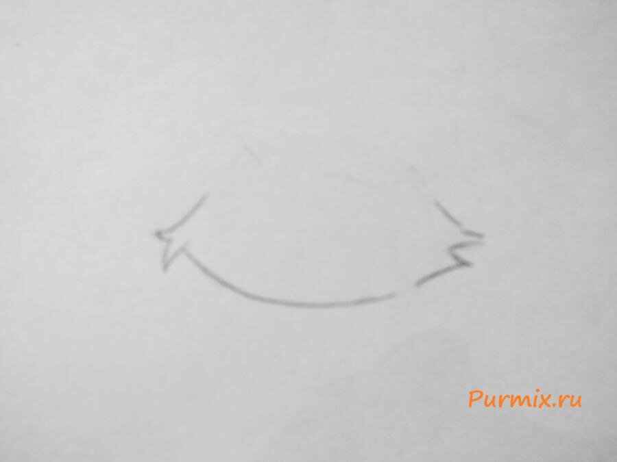 Для этого урока я использовала карандаши НВ, В2, В4, В6. Рисуем контур головы карандашом НВ. Рисуем контур головы кота карандашом НВ.