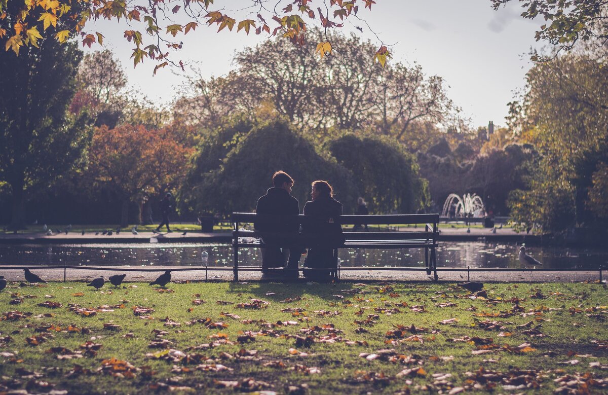Источник фото: pexels.com