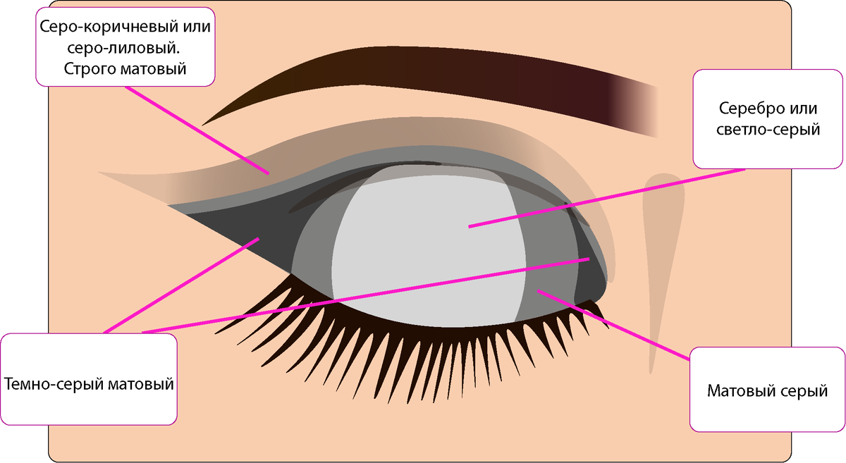 Как называются веки. Схема нанесения теней на веки. Схема нанесения теней на глаза. Макияж глаз схема нанесения теней. Классическая схема нанесения теней.