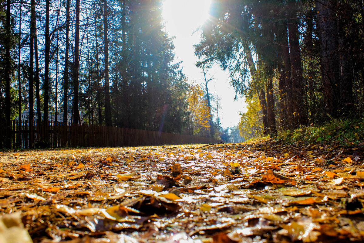 Фото Инна Юдина