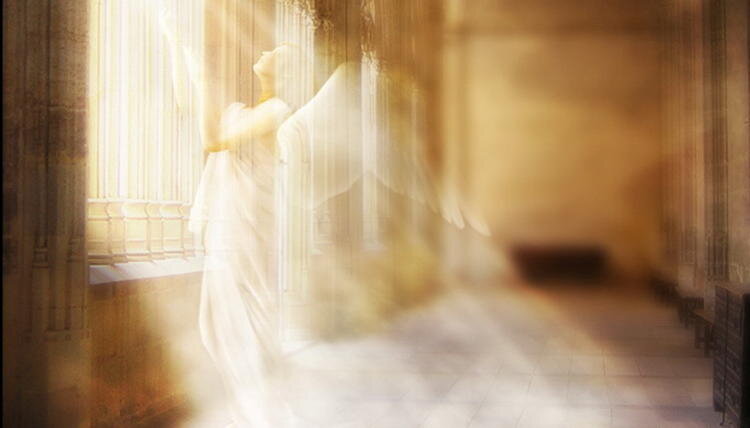 лучи солнца в комнате. художник елена юшина. одна комната солнечный свет ангел. девушка на рассвете. девушка одна в комнате.