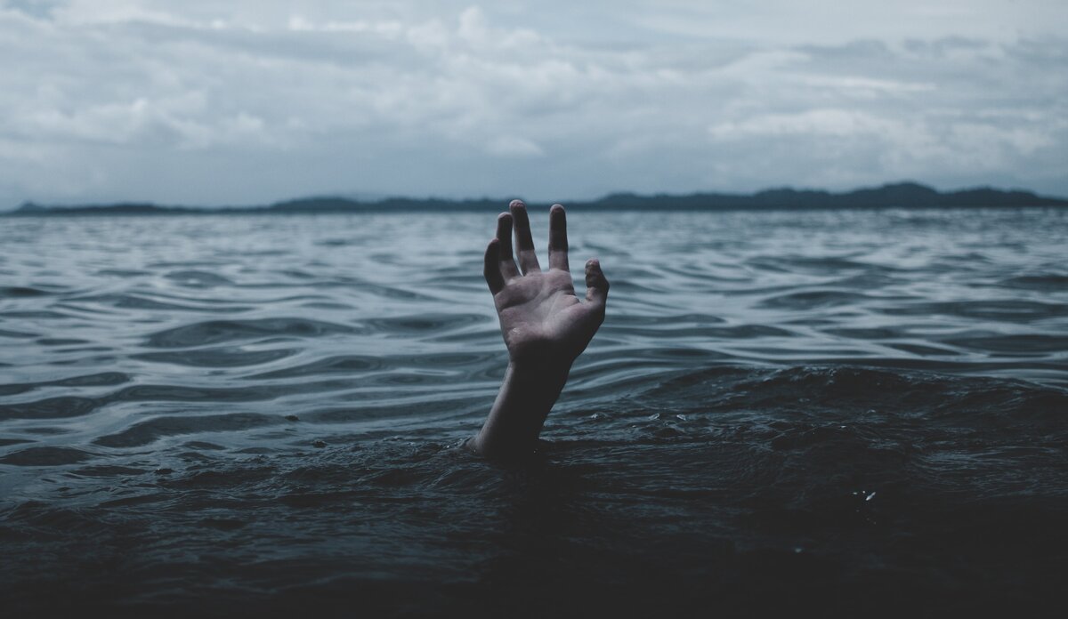 Источник фото: unsplash.com