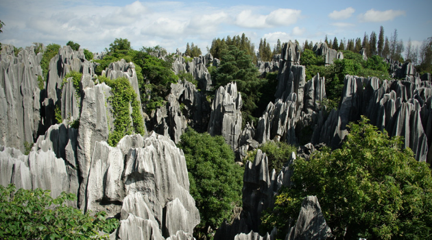 Каменный Лес в Китае