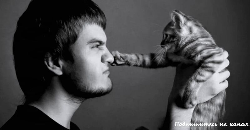 Хитропопая Мотя