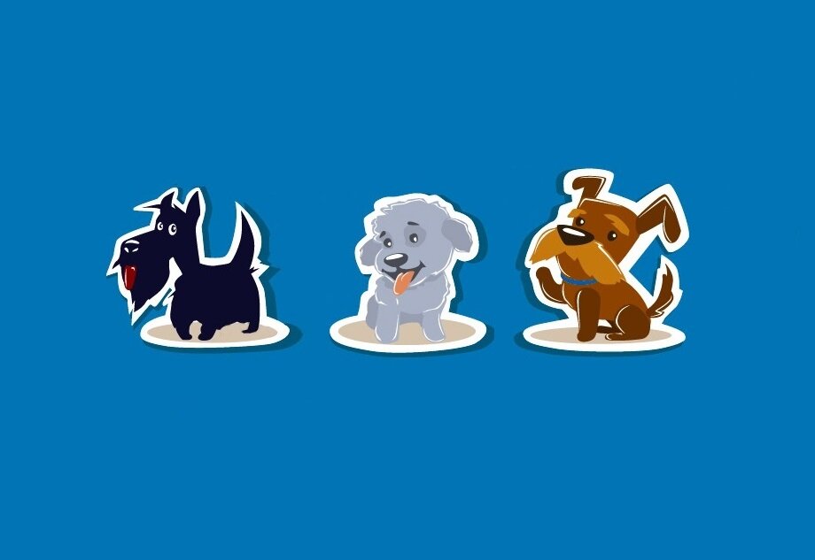 выбери собаку и узнай кто твой друг. выбери собачку с ответами. тест на выбор собаки. выбери собачку с ответами. выбери собачек.