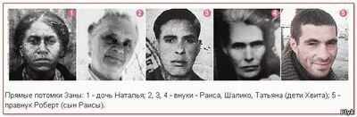 Фото из сети Интернет