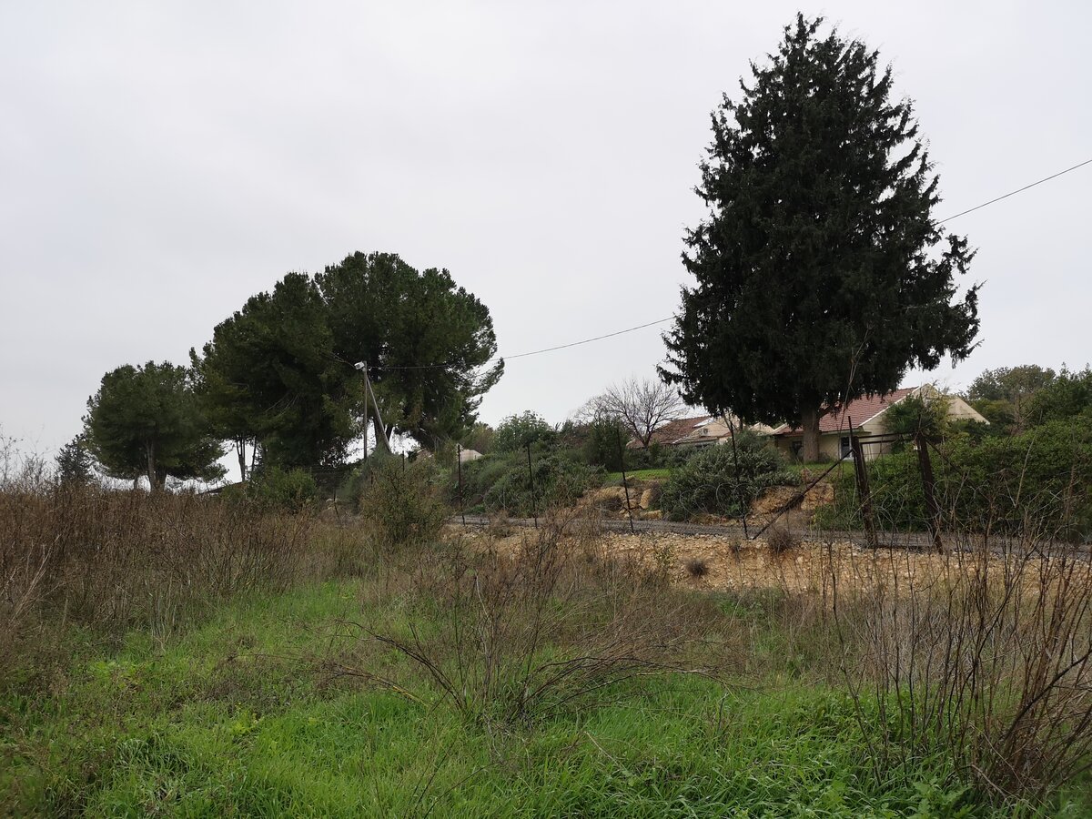 Граница кибуца