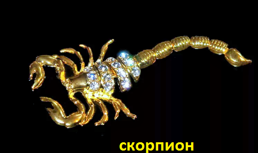 Скорпион.