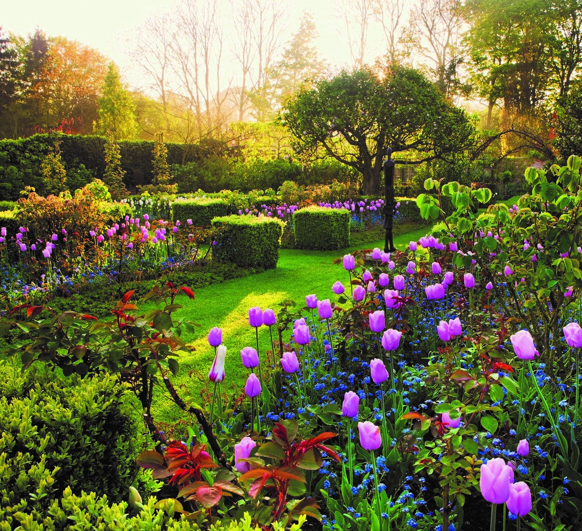Побываем в саду принца Уэльского в Шотландии, в частном саду лорда Ротшильда на Корфу (остров Греции), в частном саду лорда Хазелтины в Оксфордшире и ещё во многих не менее красивых садах.