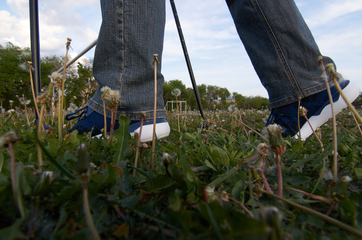 Мягкой поступью по одуванчикам - лучше, чем греметь костями по асфальту.