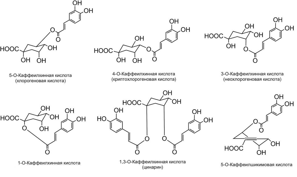 схема синтеза пиримидиновых нуклеотидов. тиамин в чае биохимия. химическая формула тиамина. фх биохимия. строение эритроцита биохимия.