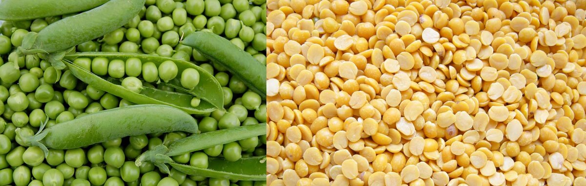 Горох и другие крупы, смотри статью
