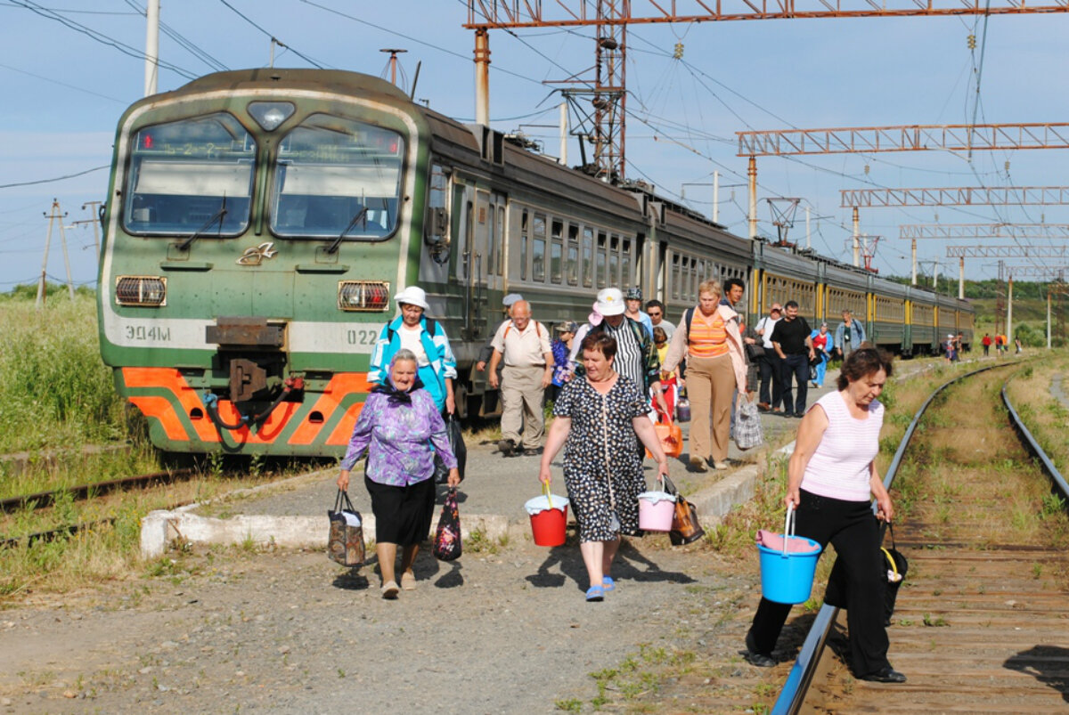 Дачники в электричке