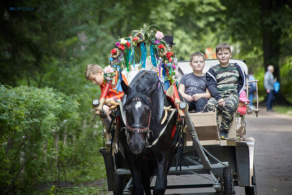 Фото: Игорь Логвин